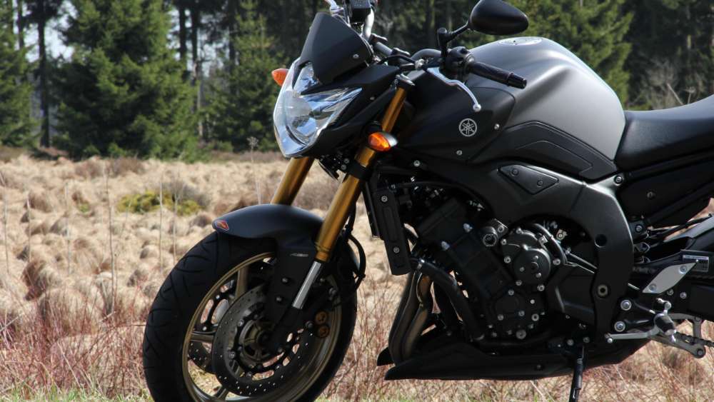 Yamaha FZ8 Power and Precision in Nature wallpaper