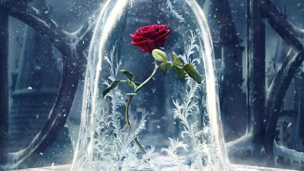 Frosted Winter Rose in Enchanted Forest wallpaper