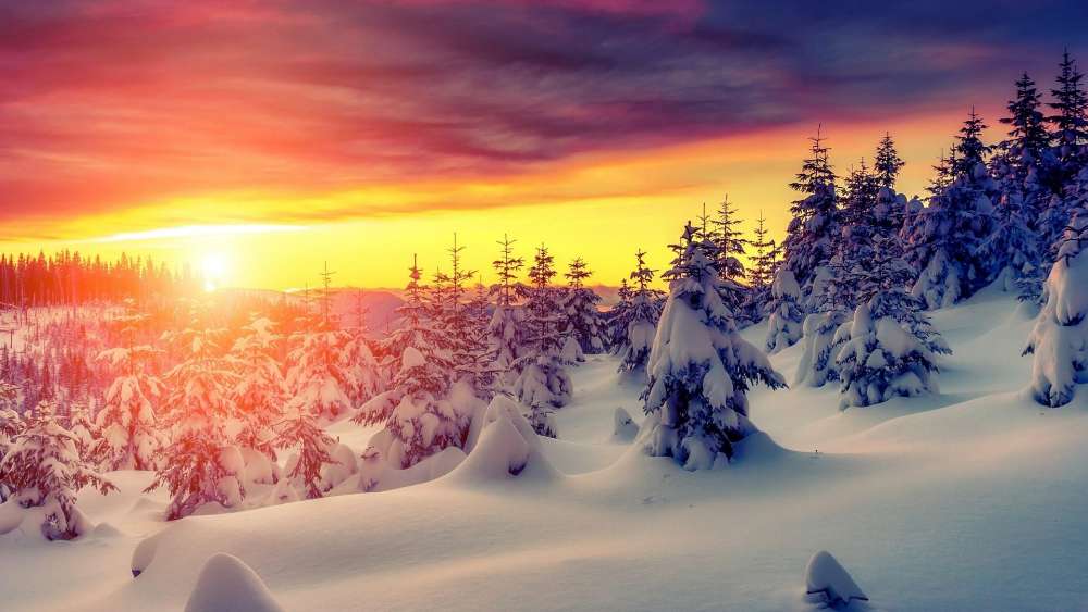 Sunset Glow Over Snowy Landscape wallpaper