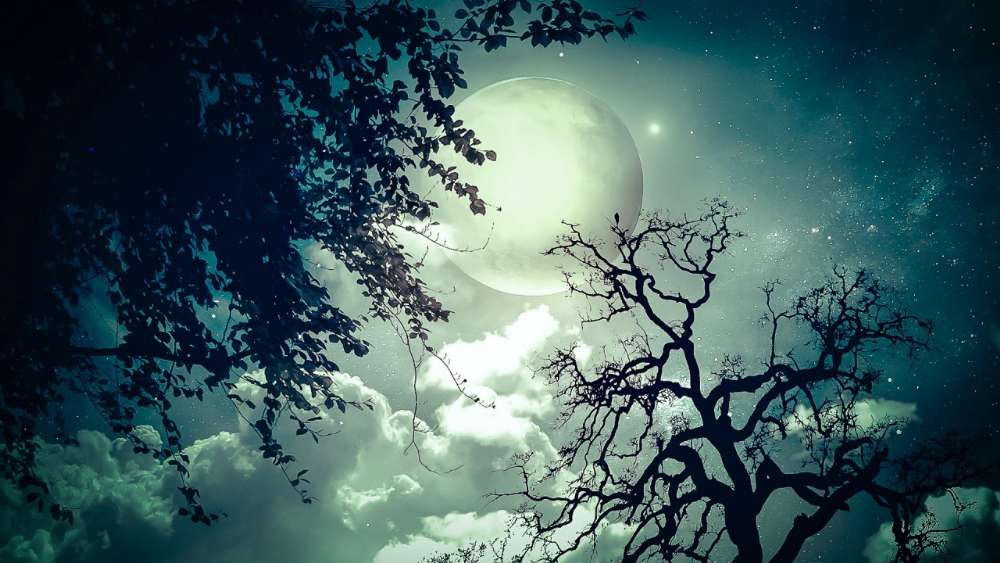 Mystical Moonlit Silhouette wallpaper