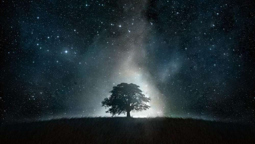 Lone tree under the starry night sky wallpaper