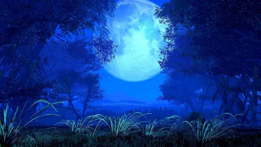 Mystical Moonlit Night Forest wallpaper