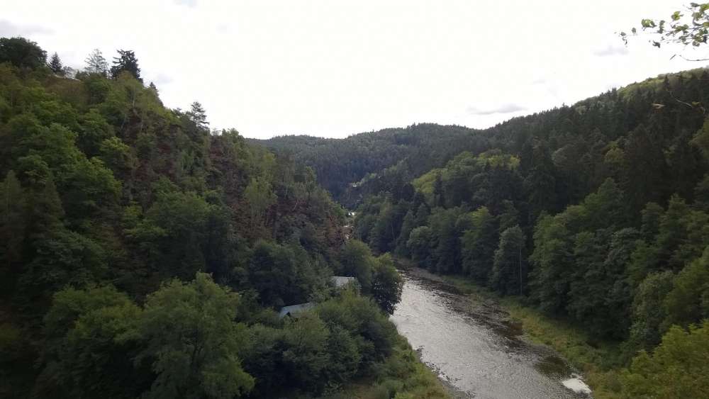 Serene River Surrounded by Lush Green Forests wallpaper