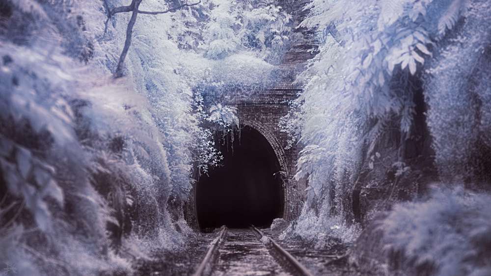 Winter Wonderland Rail Tunnel wallpaper