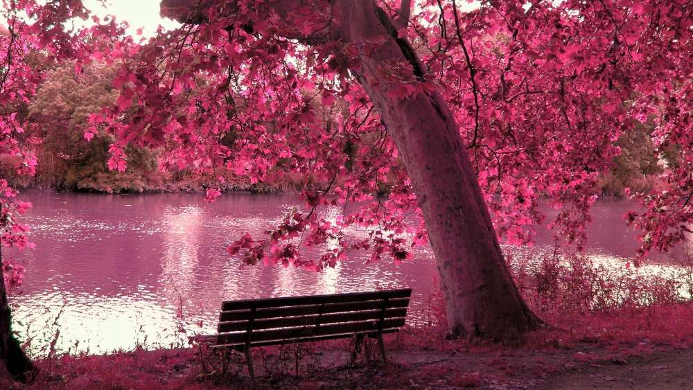 Serene Pink Lakeside Retreat wallpaper