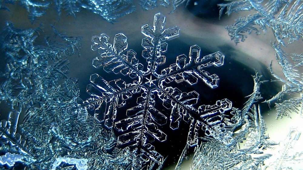 Intricate Frosty Patterns of Winter wallpaper