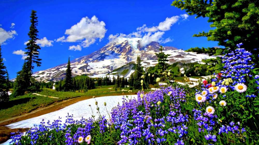 Majestic Mountain and Vibrant Spring Blooms wallpaper