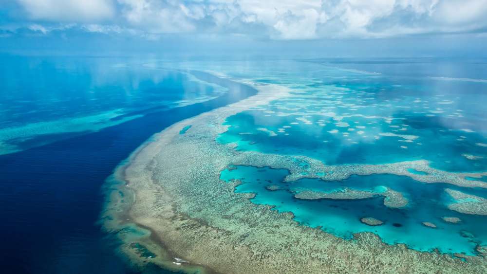 Tranquil Aerial View of a Vibrant Coral Reef System wallpaper