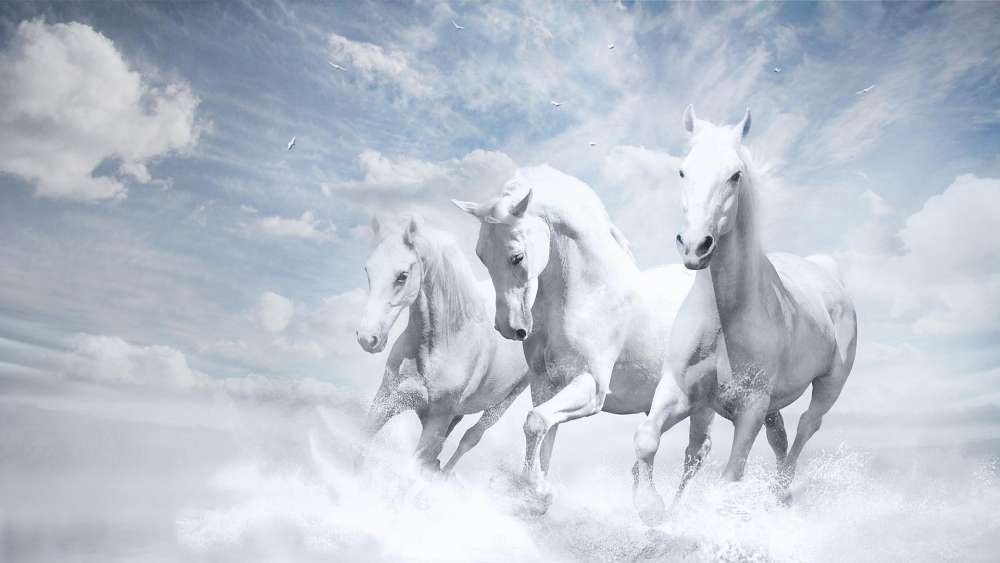 White Horses Galloping in Misty Dreamscape wallpaper