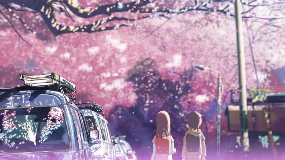 Sakura Blossoms and Shared Moments wallpaper