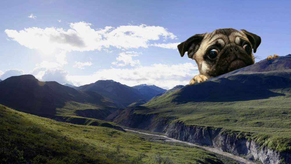 Giant Pug Overseeing Mountainous Landscape wallpaper
