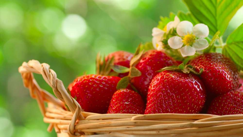 Fresh Spring Strawberries in a Basket wallpaper