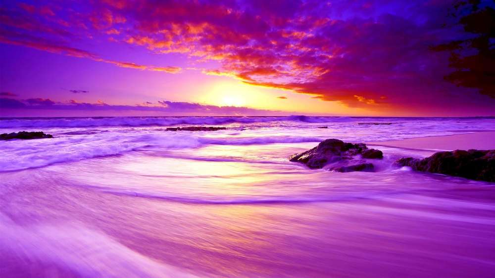 Purple Sunset Bliss by the Seashore wallpaper