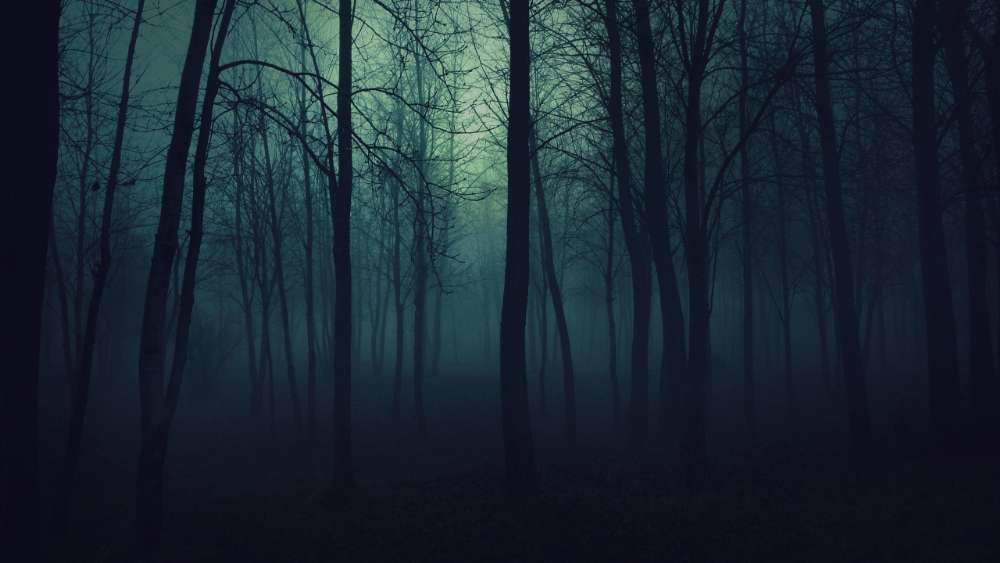 Mystical Twilight Forest Haze wallpaper