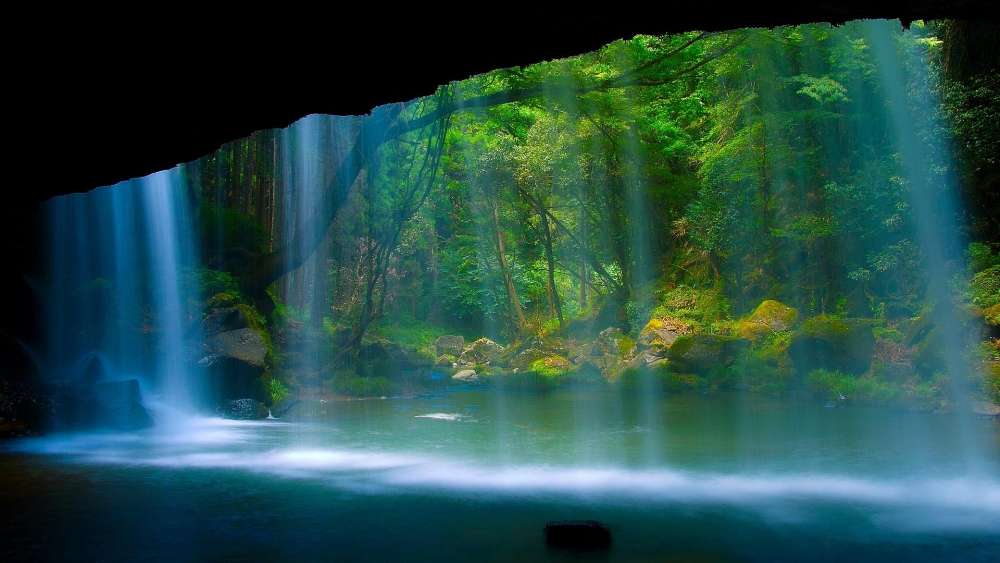Hidden Waterfall Oasis in Lush Forest wallpaper