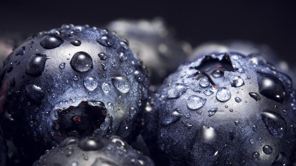 Blueberry Delight with Dew Drops wallpaper