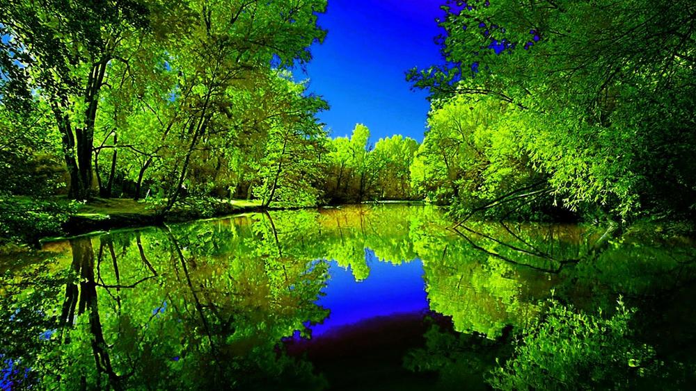 Tranquil Lake Reflection in Summer Forest wallpaper