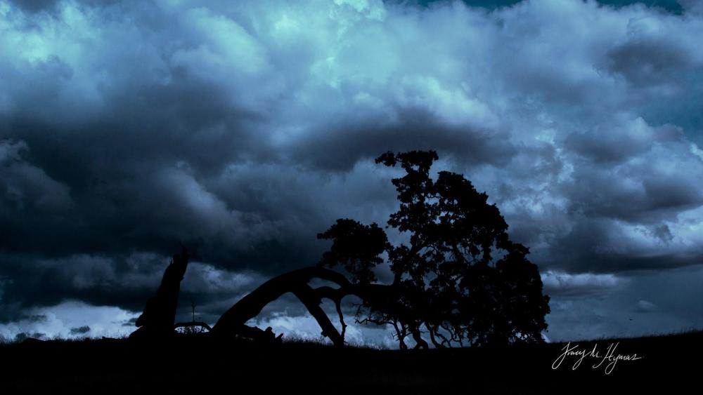 Mysterious Shadows Under Dark Skies wallpaper