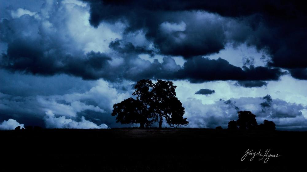 Moody Silhouettes Against Dramatic Clouds wallpaper