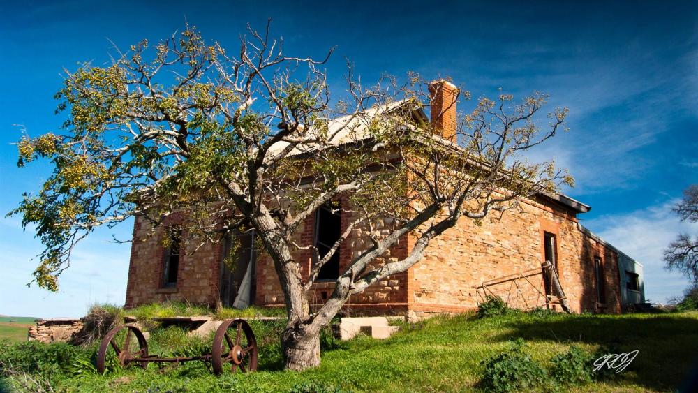 Rustic Charm in Nature's Embrace wallpaper