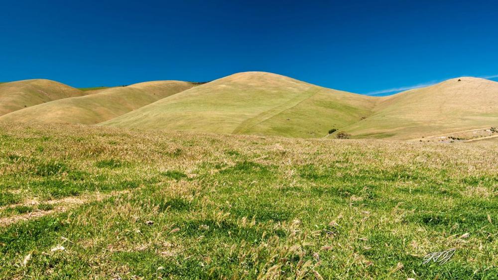 Serene Rolling Hills Under a Clear Blue Sky wallpaper