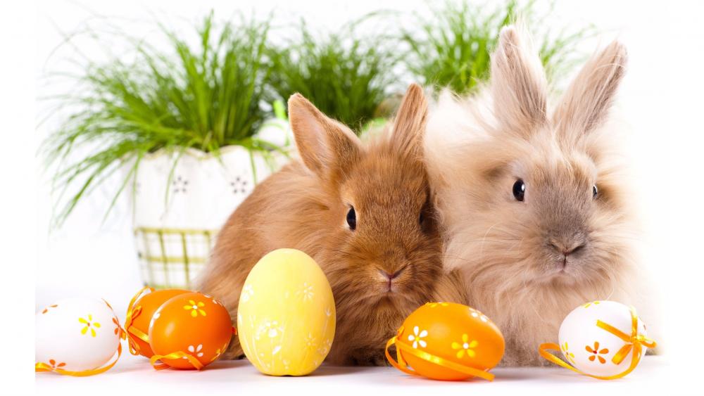 Easter Bunnies with Colorful Eggs wallpaper