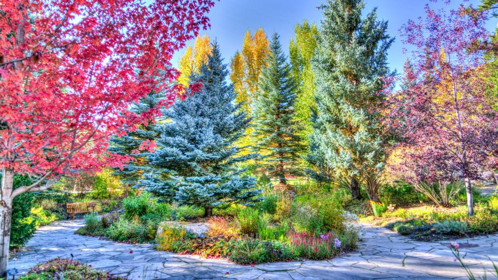 Autumn Splendor in Betty Ford Alpine Garden wallpaper