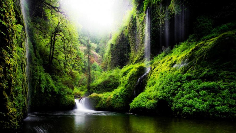 Mystical Forest Waterfall wallpaper