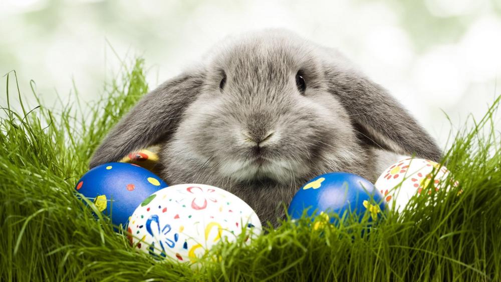 Easter Delight with Bunny and Colorful Eggs wallpaper