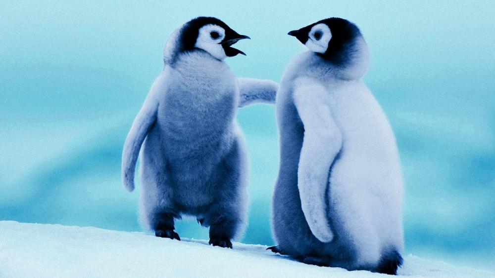 Cute baby Penguins wallpaper