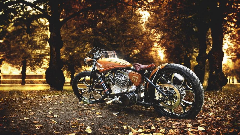 Golden Autumn Ride with a Classic Harley wallpaper