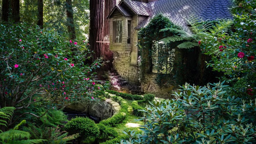 Enchanting Forest Cottage Retreat wallpaper