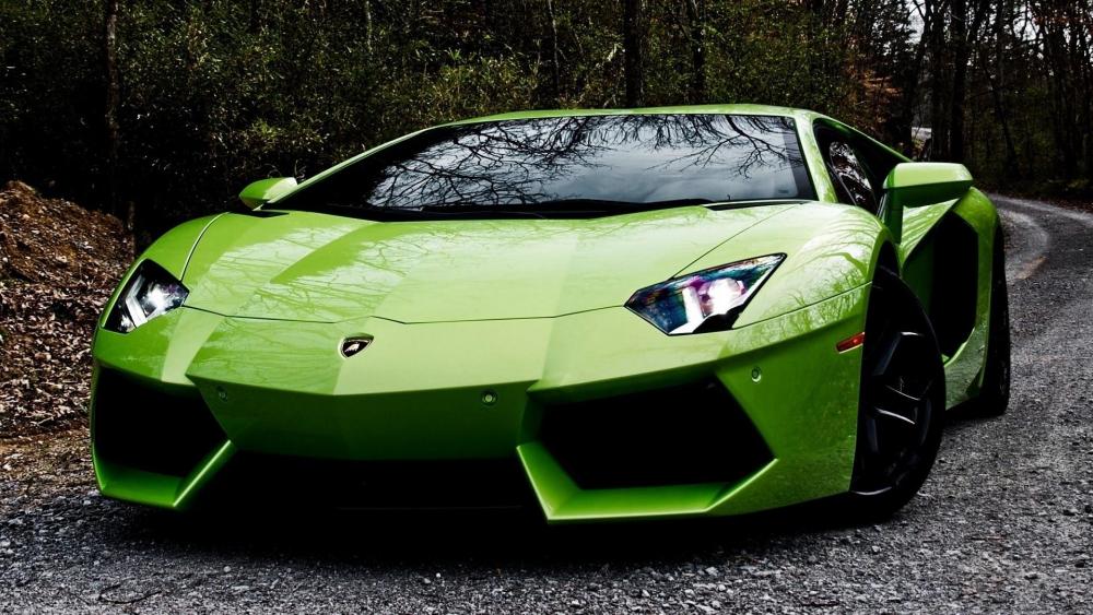 Green Lamborghini on a Scenic Road wallpaper