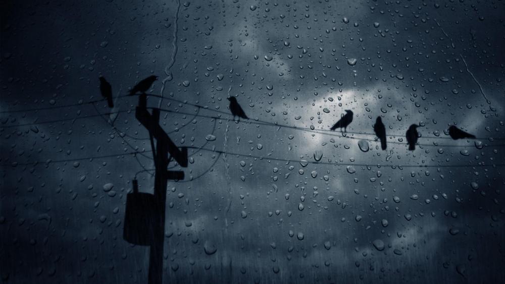 Mystical Raindrops and Silhouettes wallpaper