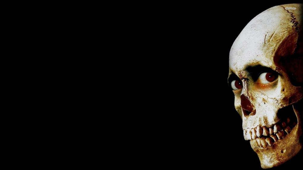 Haunting Elegance of the Skulled Realm wallpaper