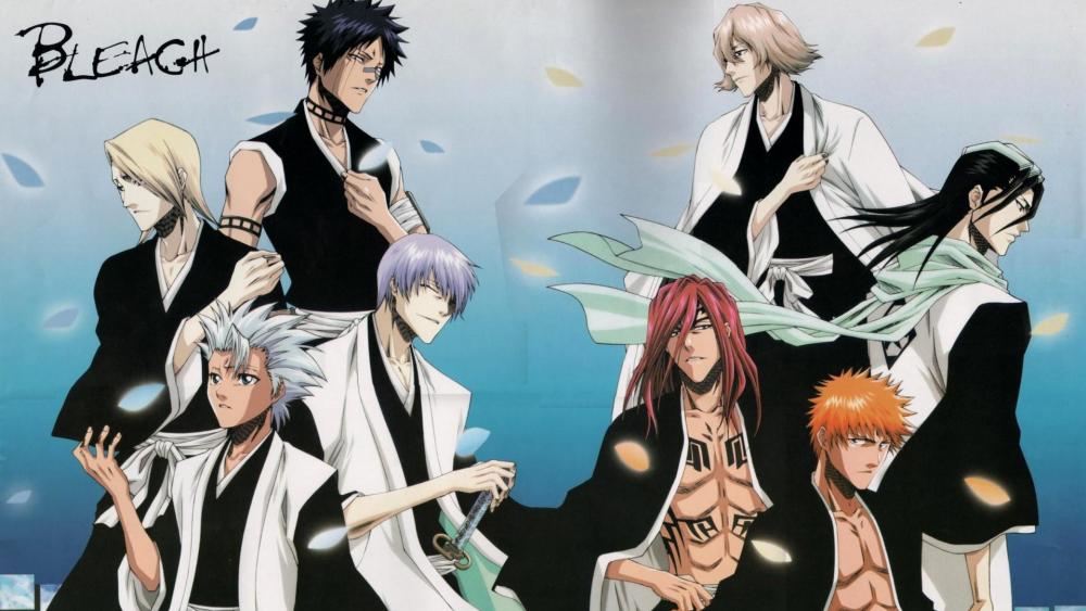Bleach Anime Heroes in Action wallpaper