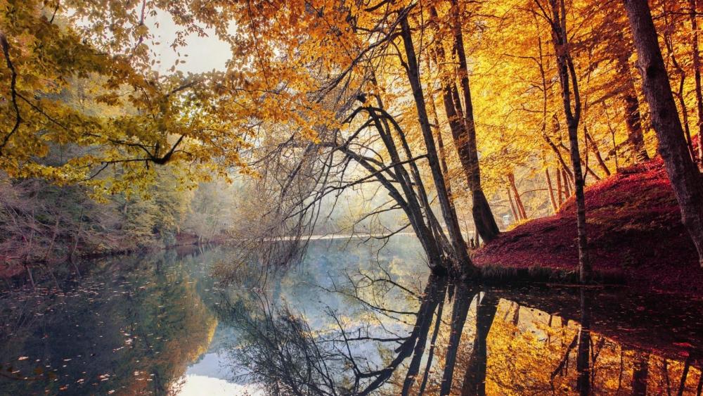 Autumn Serenity by the Lake wallpaper