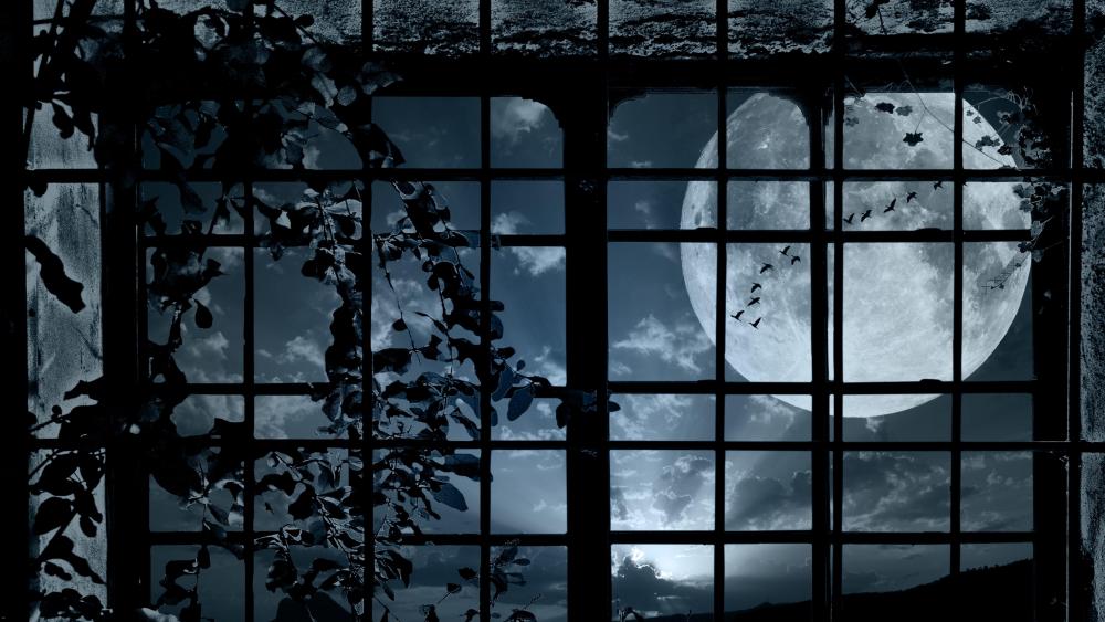Moonlit Mystique through Gothic Window wallpaper