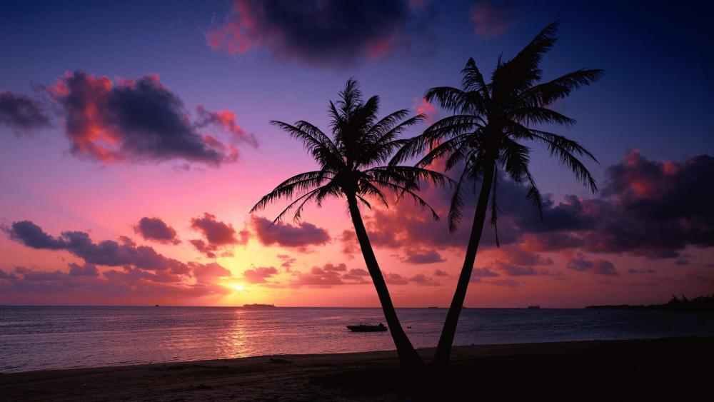 Tropical Sunset Bliss wallpaper