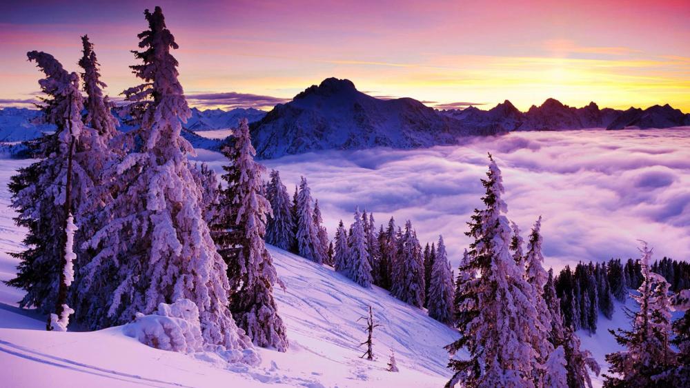 Beautiful winter landscape wallpaper