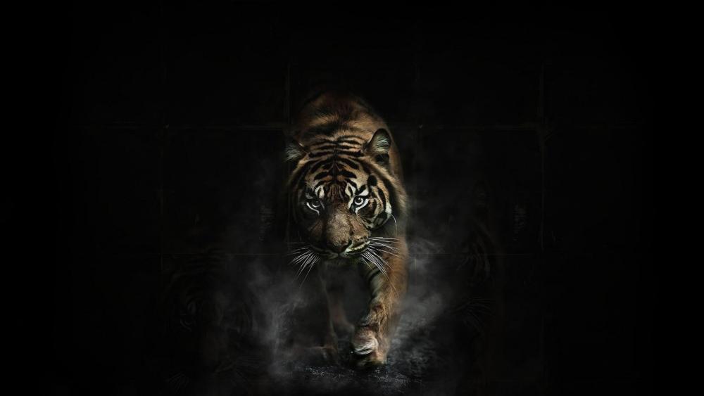Prowling Tiger in the Shadows wallpaper