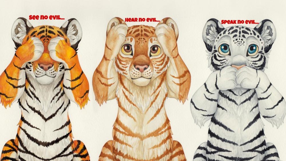 Three Wise Big Cats with a Twist wallpaper