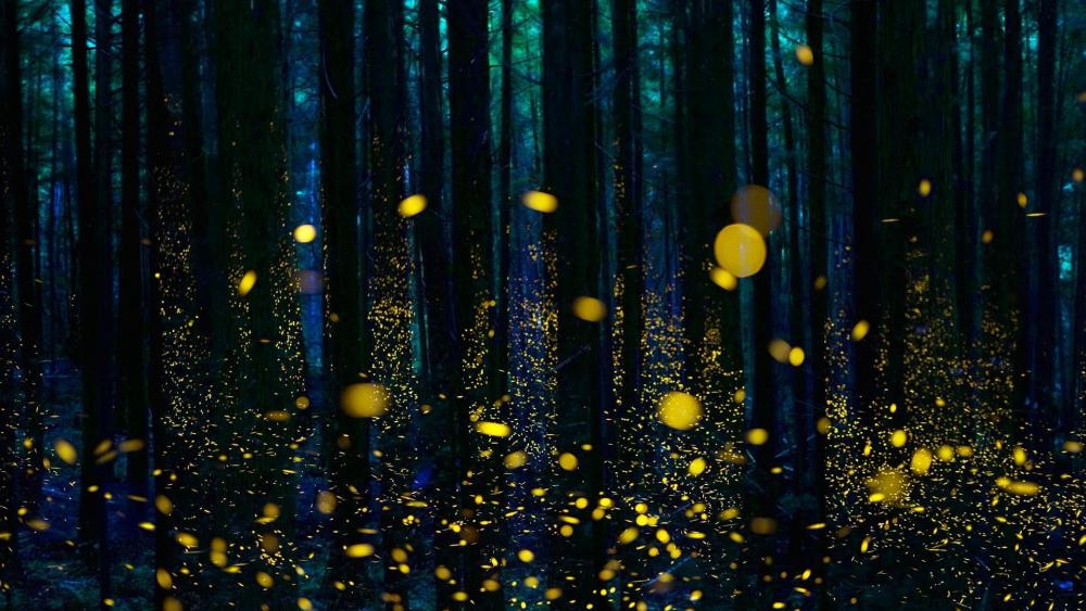 Enchanted Forest Firefly Dance wallpaper