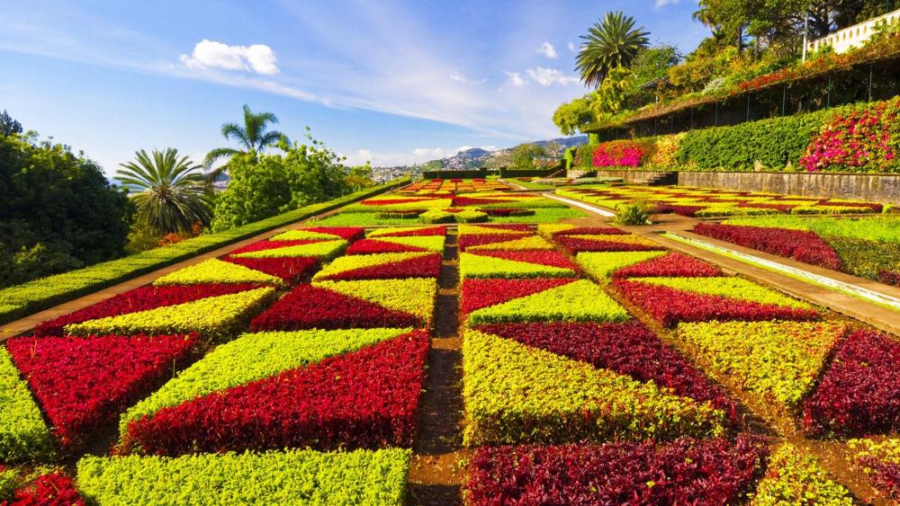 Madeira Botanical Garden wallpaper