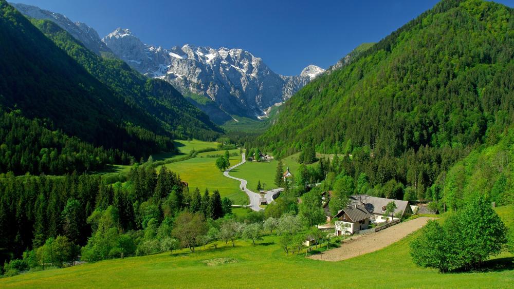 Springtime Splendor in the Alpine Valley wallpaper