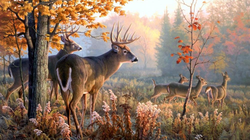 Majestic Stags at Dawn in the Forest wallpaper