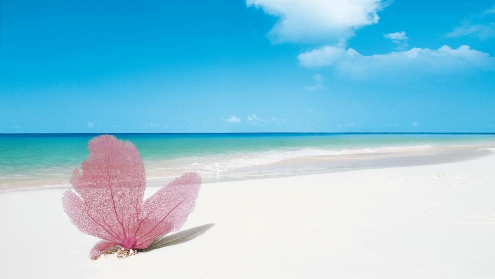 Serenity at Sea: Pink Fan Coral on Peaceful Beach wallpaper