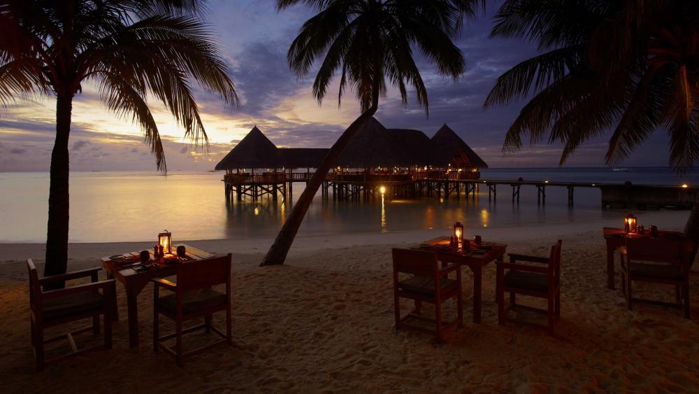 Tropical Evening Dining by the Sea wallpaper