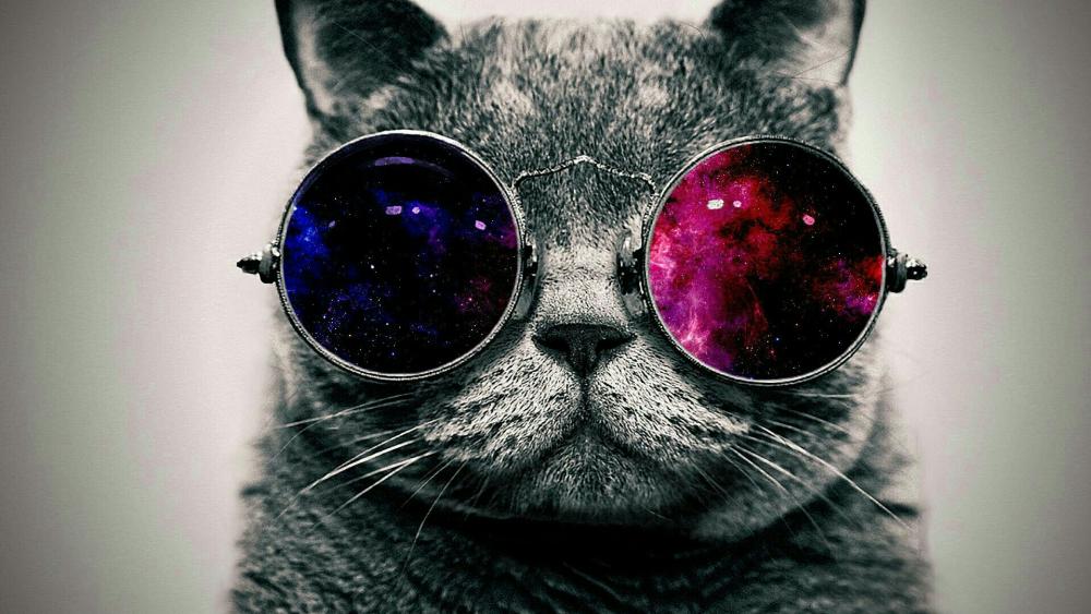 Cosmic Vision Feline wallpaper
