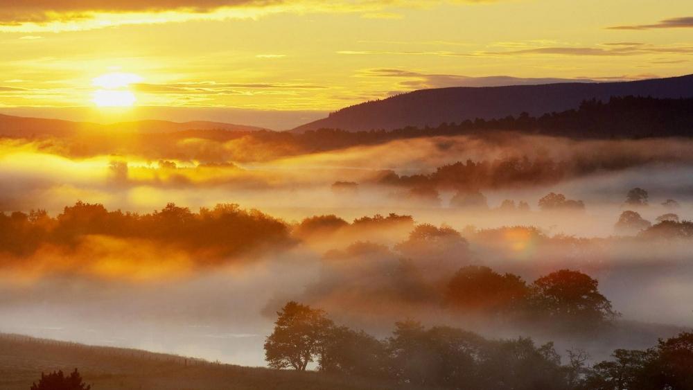 Misty Sunrise Over a Serene Landscape wallpaper